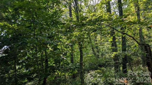 TBD Kelly Mountain Road 19, Brevard, NC 28712