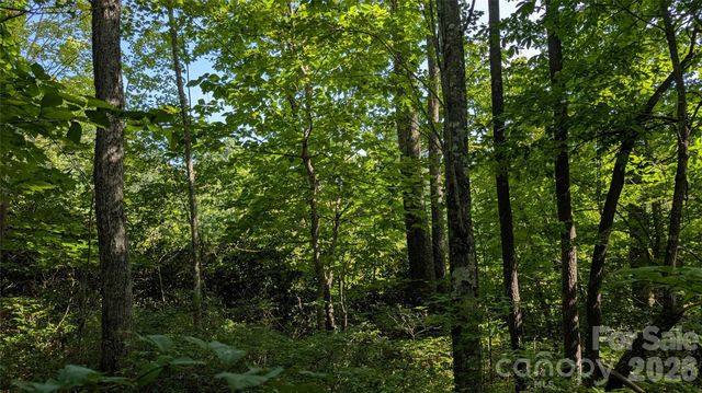 TBD Kelly Mountain Road 19, Brevard, NC 28712