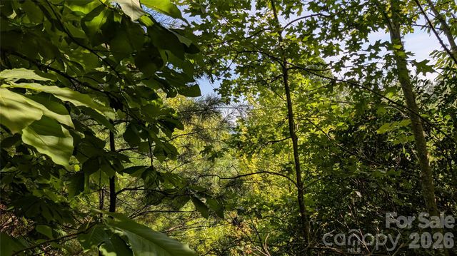 TBD Kelly Mountain Road 19, Brevard, NC 28712