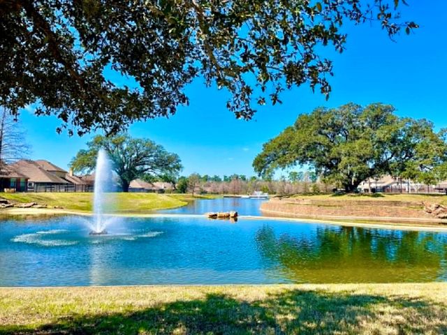 9515 Chaddington Court, Tomball, TX 77375