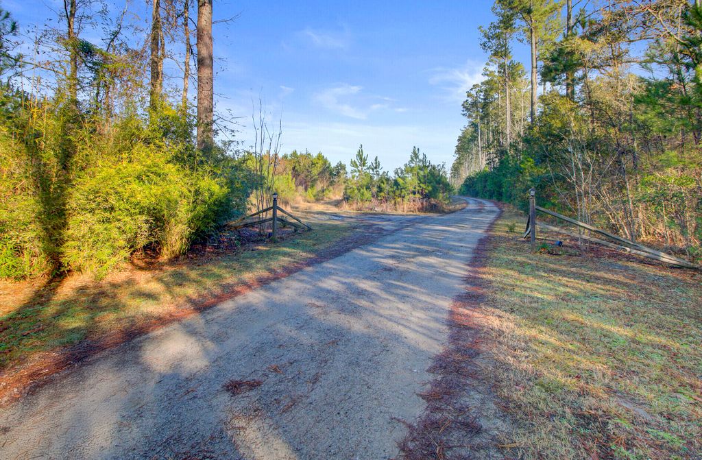 Image 5 of property listing at 00 Hill Branch Road, Ridgeville, SC 29472