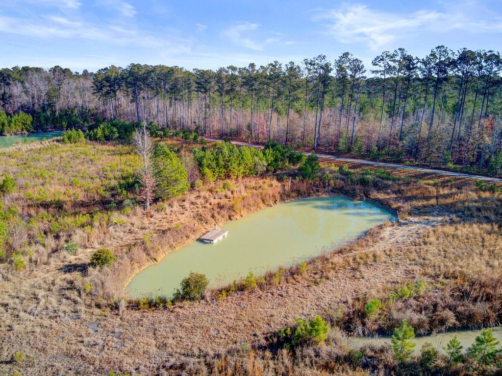 Image 6 of property listing at 00 Hill Branch Road, Ridgeville, SC 29472