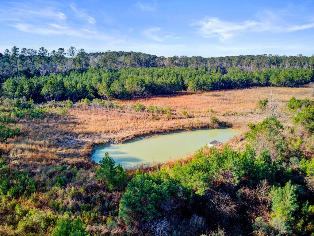Image 7 of property listing at 00 Hill Branch Road, Ridgeville, SC 29472