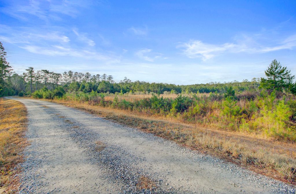 Image 9 of property listing at 00 Hill Branch Road, Ridgeville, SC 29472