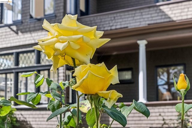 1715 Oakland Ave, Piedmont, CA 94611