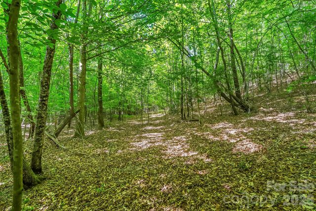 3495 Irish Hills Road 3, Morganton, NC 28655