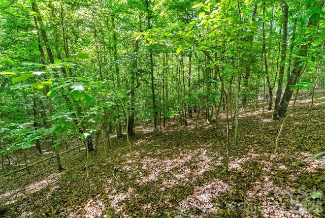 3495 Irish Hills Road 3, Morganton, NC 28655
