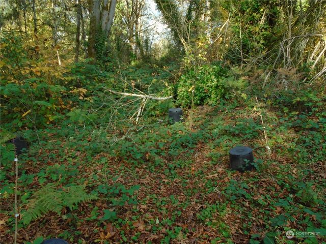 15419 296th Street E, Graham, WA 98338