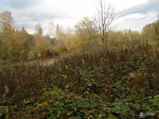 15419 296th Street E, Graham, WA 98338