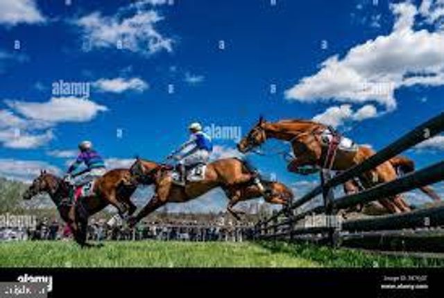 17011 TROYER RD, Monkton, MD 21111