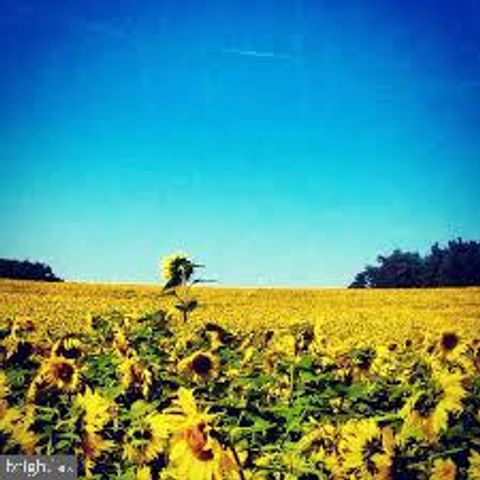 17011 TROYER RD, Monkton, MD 21111