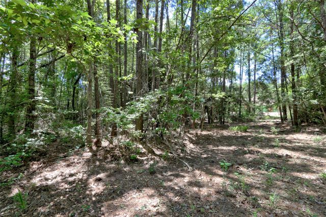 258 Heartland Road, New Waverly, TX 77358