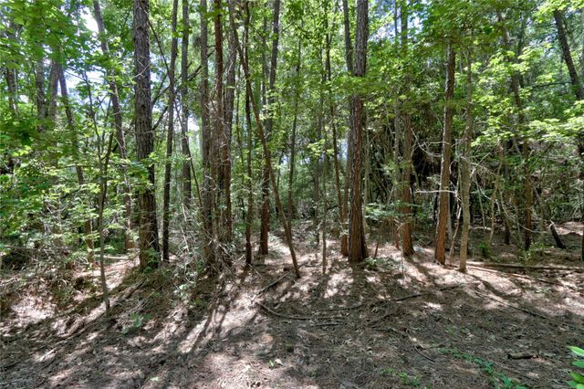 258 Heartland Road, New Waverly, TX 77358