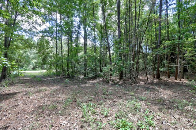 258 Heartland Road, New Waverly, TX 77358