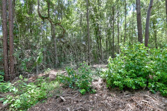 258 Heartland Road, New Waverly, TX 77358