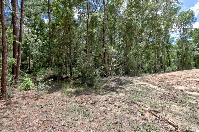 258 Heartland Road, New Waverly, TX 77358