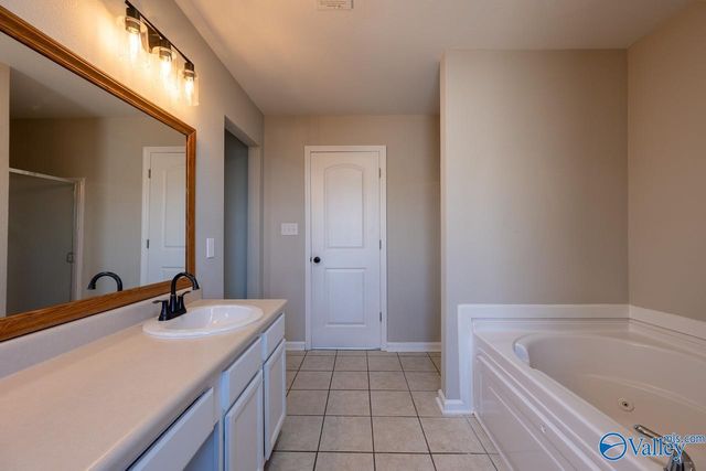 3215 Avalon Lake Drive, Madison, AL 35756
