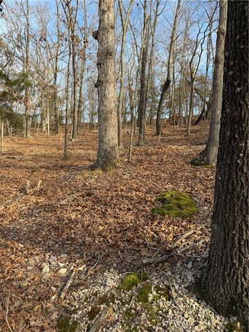 Lot 76 Shady Glen Road, Garfield, AR 72732