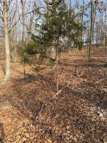 Lot 76 Shady Glen Road, Garfield, AR 72732