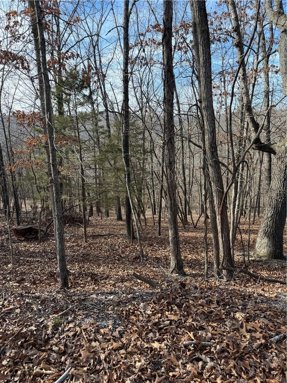 Lot 76 Shady Glen Road, Garfield, AR 72732