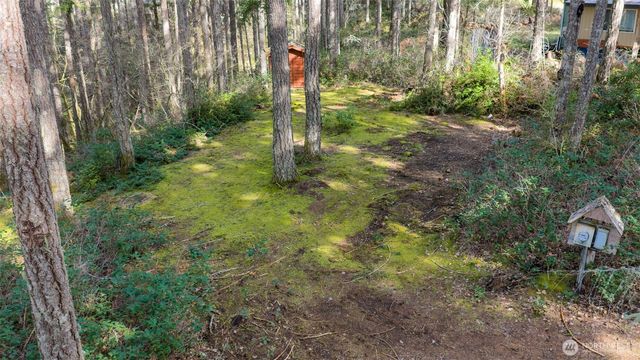 240 N Dogleg Place, Hoodsport, WA 98548