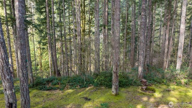 240 N Dogleg Place, Hoodsport, WA 98548