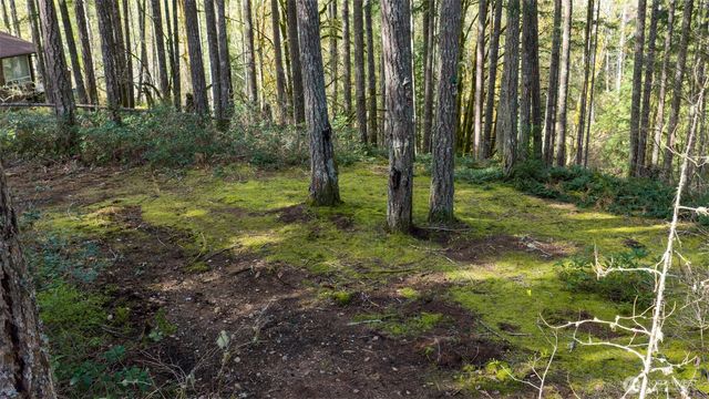 240 N Dogleg Place, Hoodsport, WA 98548