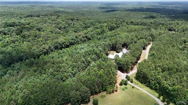 14675 Longview, Northport, AL 35475
