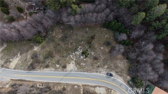 29649 Hook Creek Road, Cedar Glen, CA 92321