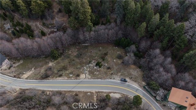 29649 Hook Creek Road, Cedar Glen, CA 92321