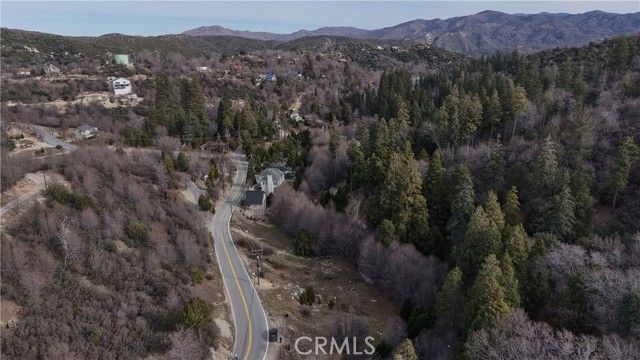 29649 Hook Creek Road, Cedar Glen, CA 92321