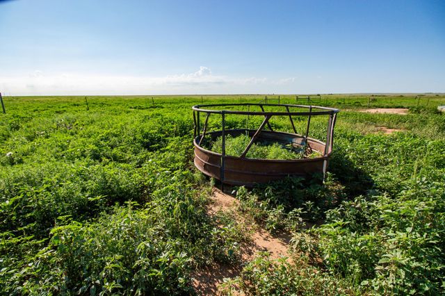 Boomer Place Hotel Rd & CR 22, Claude, TX 79019
