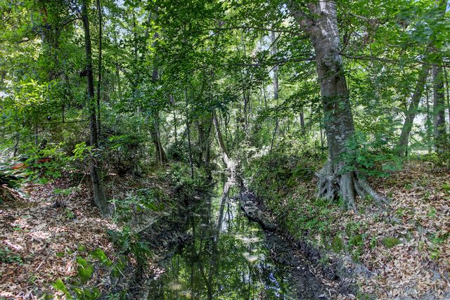 1105 Orangeburg Road, Summerville, SC 29483