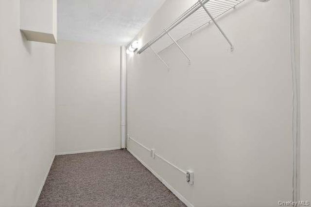 800 Willis Avenue 119, Albertson, NY 11507