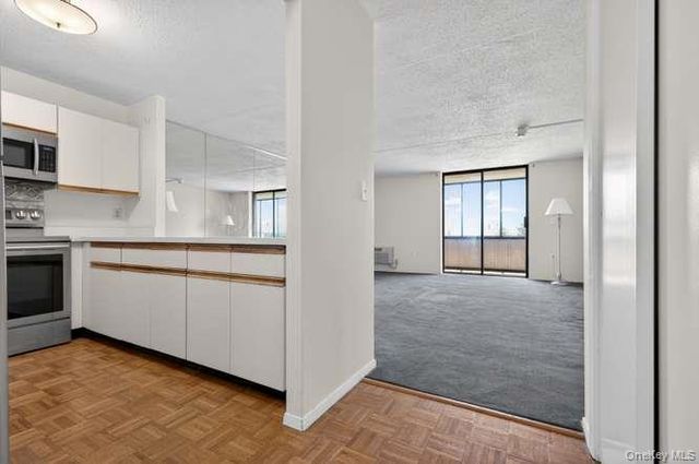 800 Willis Avenue 119, Albertson, NY 11507