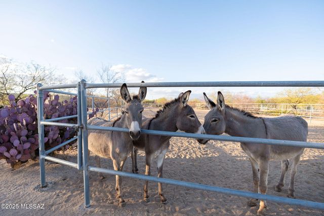 17300 S Camino Cartagena, Sahuarita, AZ 85629