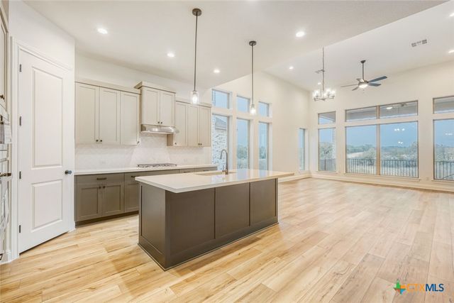 248 Prickly Poppy Loop, Kyle, TX 78640