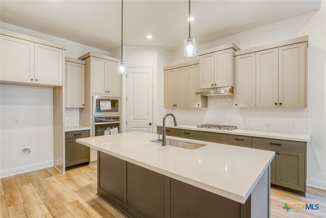 248 Prickly Poppy Loop, Kyle, TX 78640