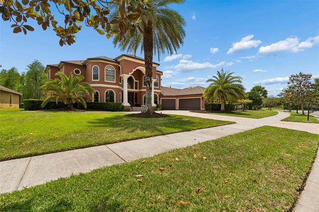 20330 LACE CASCADE ROAD, Land O Lakes, FL 34637