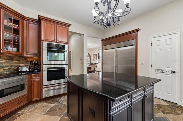 20330 LACE CASCADE ROAD, Land O Lakes, FL 34637