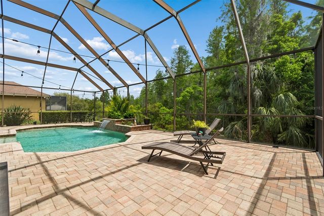 20330 LACE CASCADE ROAD, Land O Lakes, FL 34637