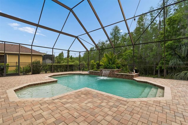 20330 LACE CASCADE ROAD, Land O Lakes, FL 34637
