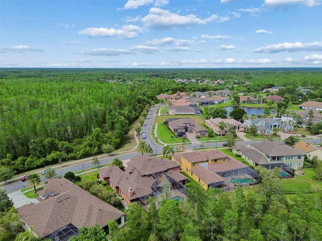 20330 LACE CASCADE ROAD, Land O Lakes, FL 34637