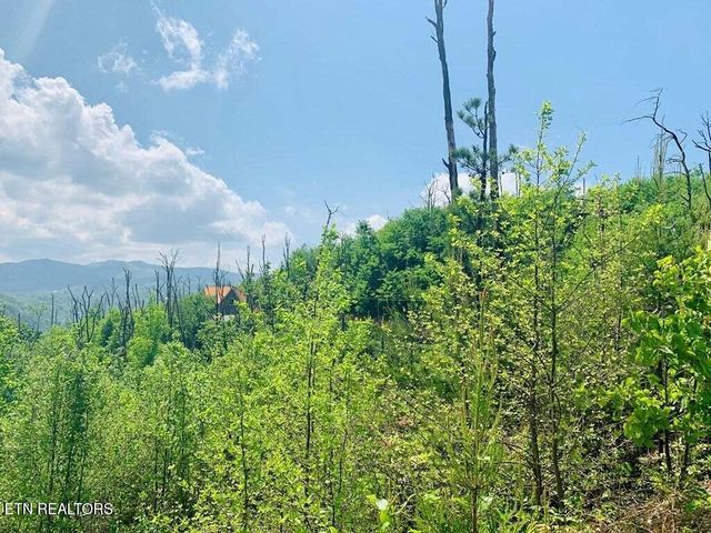 Kristis Place Place, Gatlinburg, TN 37738