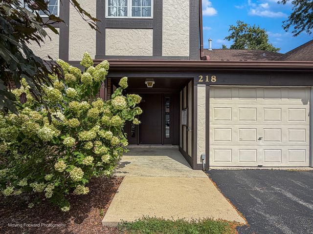 218 Brookside Lane B, Willowbrook, IL 60527