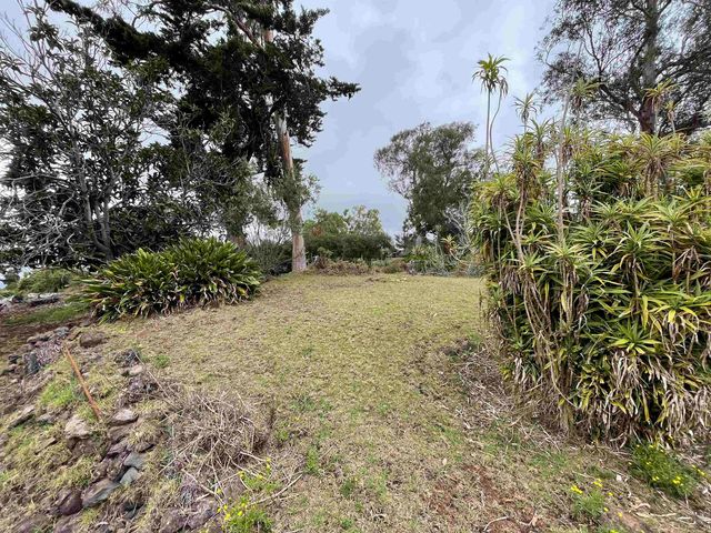 1575 Kamehameiki Rd UNIT 1, Kula, HI 96790