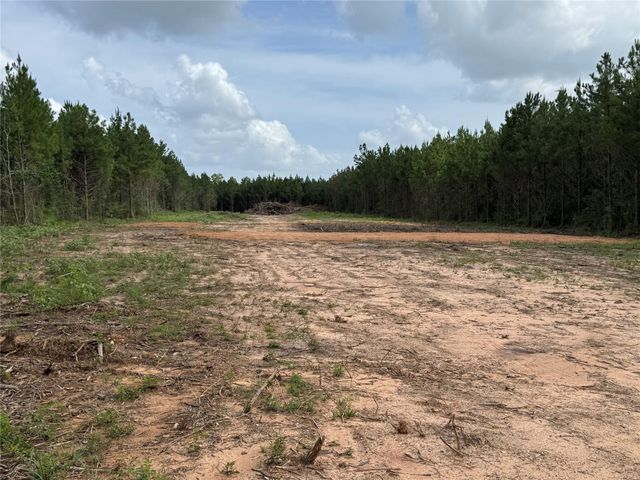 345 Duff Road, Livingston, TX 77351
