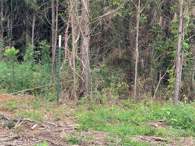 345 Duff Road, Livingston, TX 77351