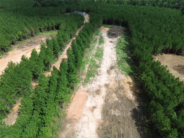 345 Duff Road, Livingston, TX 77351