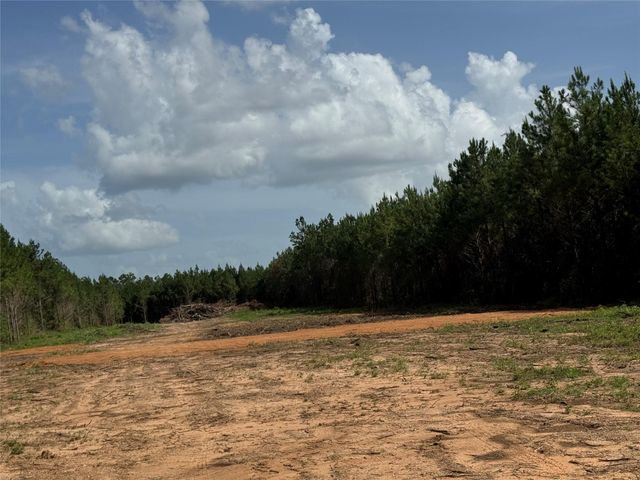 345 Duff Road, Livingston, TX 77351